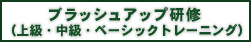 ブラッシュアップ研修（上級・中級・ベーシックトレーニング）